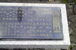 掏
