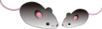 ˂݃CXg