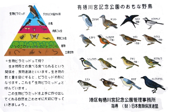 有栖川宮記念公園−野鳥