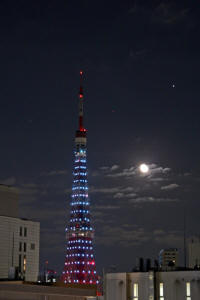 ^[2012.11.2.