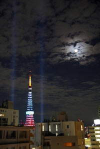 ^[2012.11.3-1